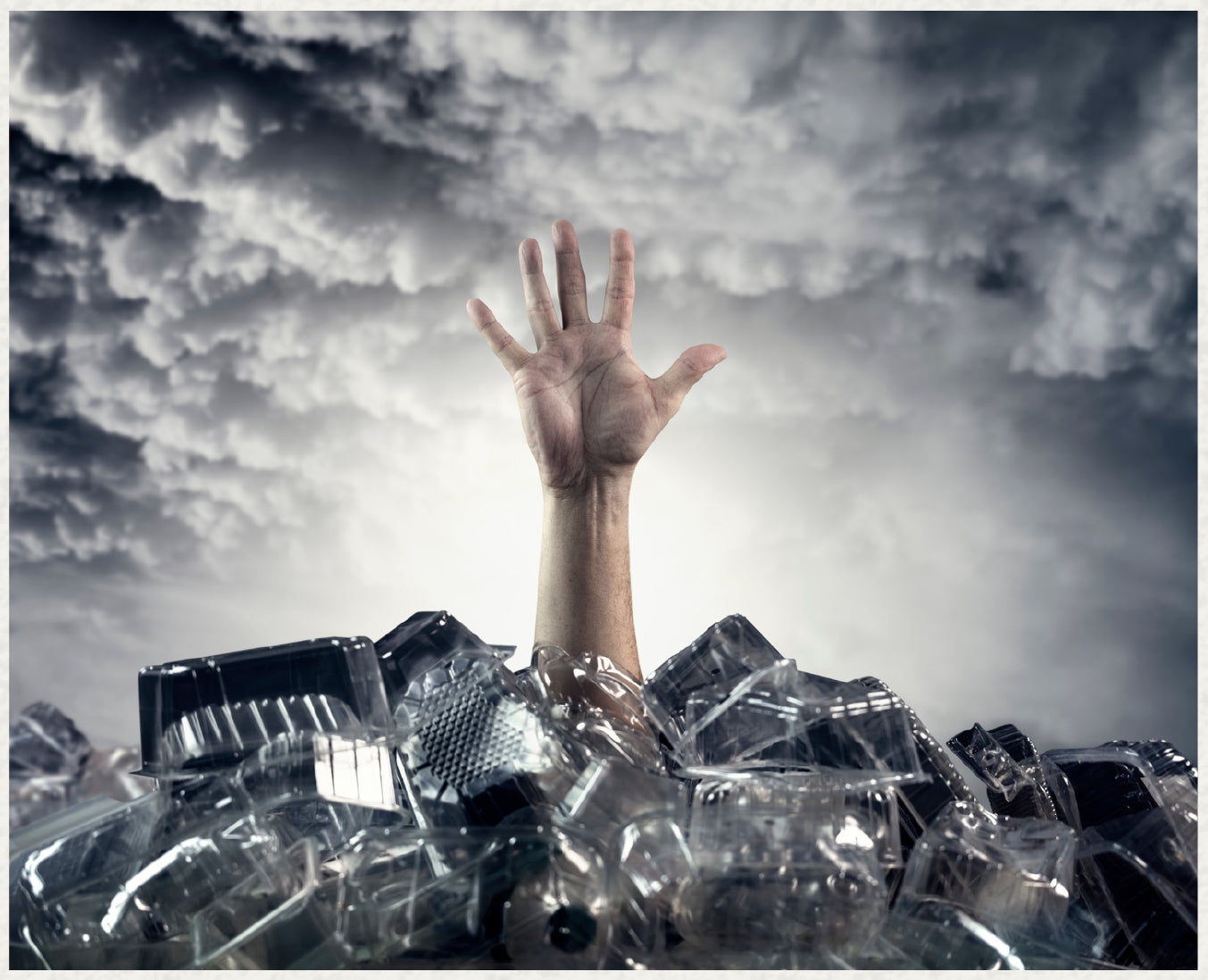 Understanding Plastic Pollution : The Facts You Need to Know