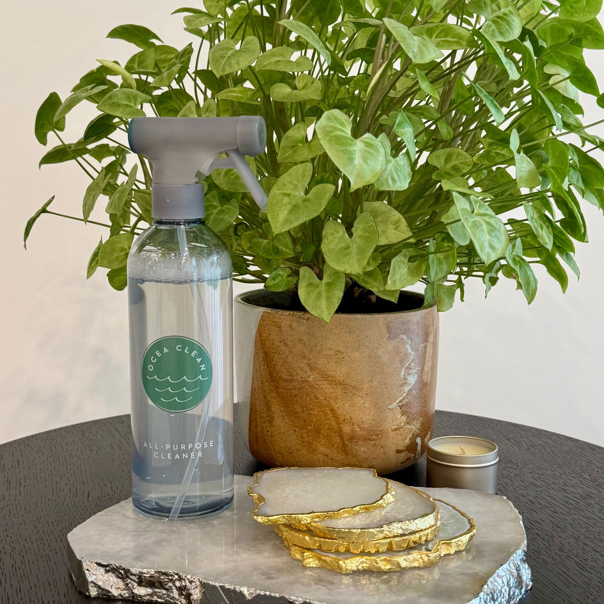 Ocea Clean Cleaning Kit